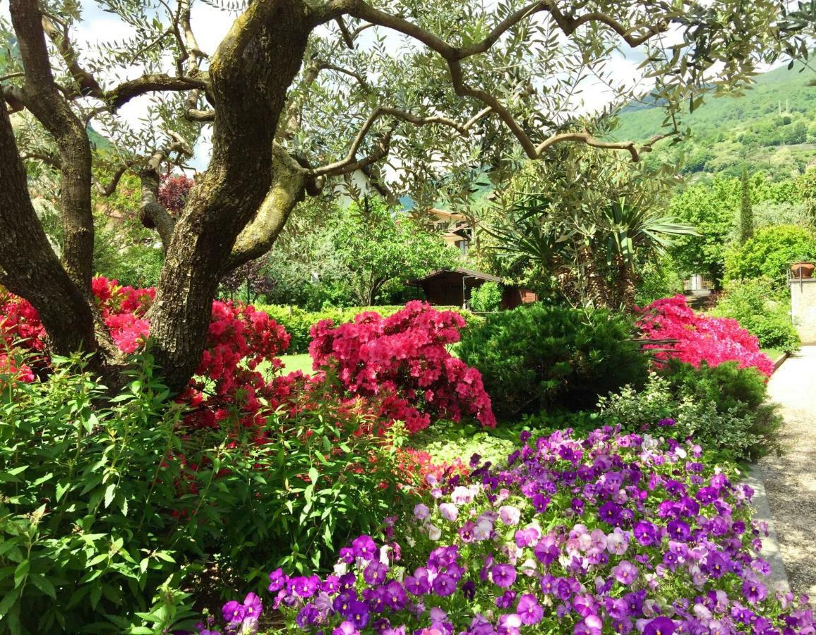 Iris 2 Lago Di Como Dongo Dış mekan fotoğraf