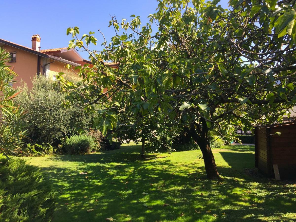 Iris 2 Lago Di Como Dongo Dış mekan fotoğraf