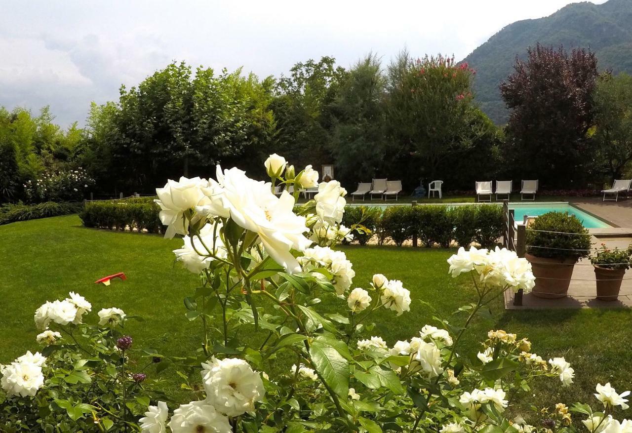 Iris 2 Lago Di Como Dongo Dış mekan fotoğraf